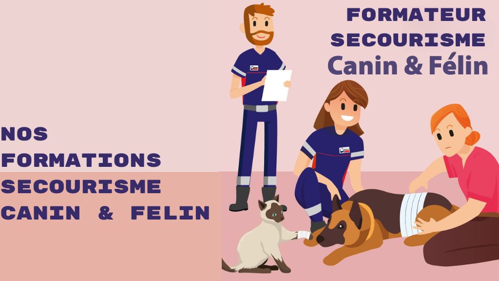 L'ANPS déploie sa filière de formation CANIN et FELIN.
Lancez vous et devenez FORMATEUR en SECOURISME CANIN & FÉLIN
📅 12 au 16 janvier 2026
📍WIHR au VAL (68) Centre de formation UDPS68
⏩https://catalogue-anps.dendreo.com/formation/57/formateur-secourisme-canin-et-felin